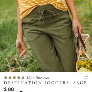 Albion Fit Destination Joggers in Sage Green- L